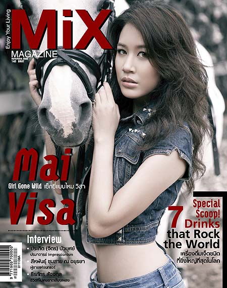 MiX : พฤศจิกายน 2551