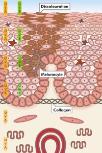 คลีนิกข์แนะนำ Derma white Lab Bright Fortifying Complex