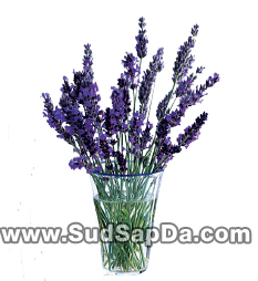 วิธีรีแลกซ์ง่ายๆ คลายเครียดที่ออฟฟิต