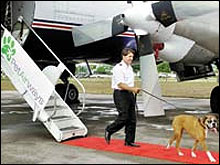 เพ็ท แอร์เวย์ส สายการบินของน้องหมา น้องแมว