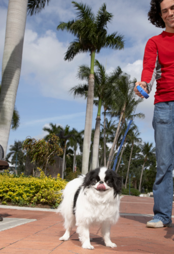 สัตว์เลี้ยงมงคล เกื้อหนุนชะตา 12 ราศี