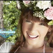 Wallpaper : ทีน่า-พิมสิริ ภักดี: I Love Carnation