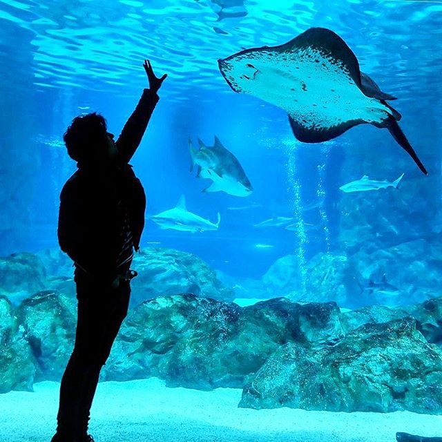 ปุยฝ้าย-แม็ค