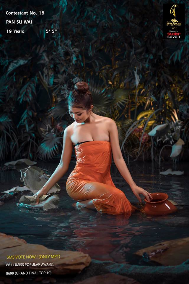 Miss Myanmar International 2017