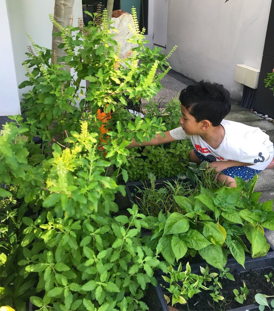 ลูกดารา