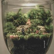 Terrarium ยกสวนสวยมาไว้ในขวดแก้ว