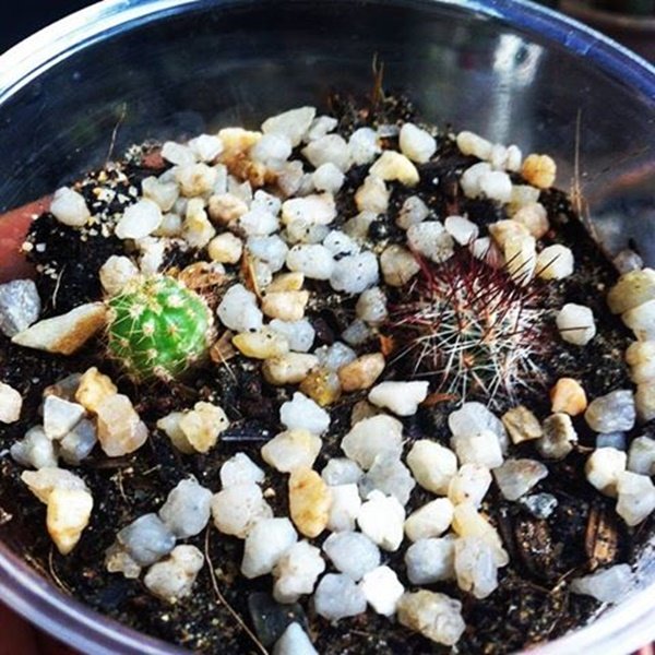 แต่งบ้านแบบ DIY ทั้งหลังด้วยงบไม่ถึง 1 แสน