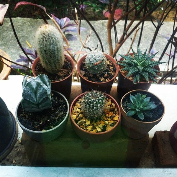 แต่งบ้านแบบ DIY ทั้งหลังด้วยงบไม่ถึง 1 แสน