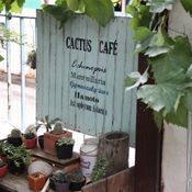 สวนเล็ก ๆ ริมรั้ว ตอน แบ่งปันเรื่องซน ๆ ในสวน และอวดสวนโซนใหม่Cactus Cafe