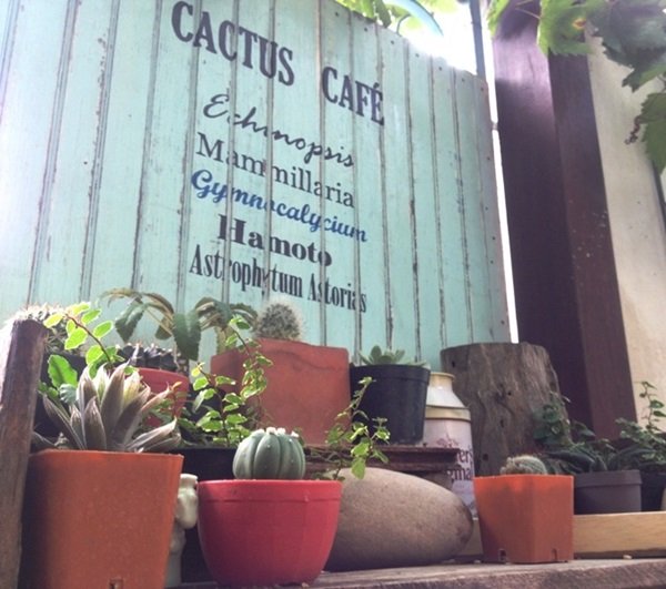 สวนเล็ก ๆ ริมรั้ว ตอน แบ่งปันเรื่องซน ๆ ในสวน และอวดสวนโซนใหม่Cactus Cafe