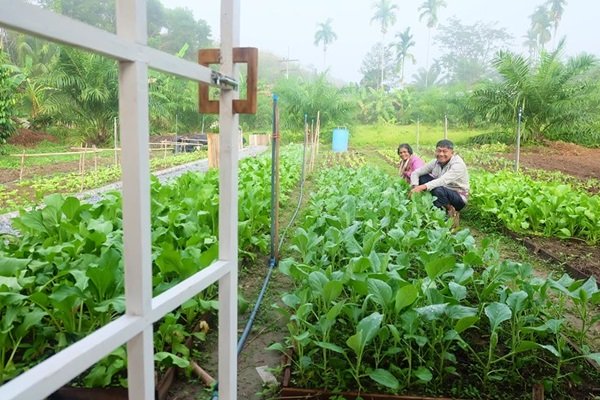 DIY ครัวไม้หลังใหม่ ในสวนผักปลอดสาร ที่บ้านเกิด