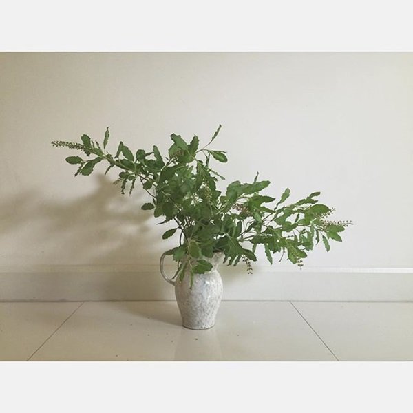 มุมเล็ก มุมน้อย “บ้านเต๋า สโรชา” สไตล์ Minimalist กับชีวิตแบบ Slow ๆ