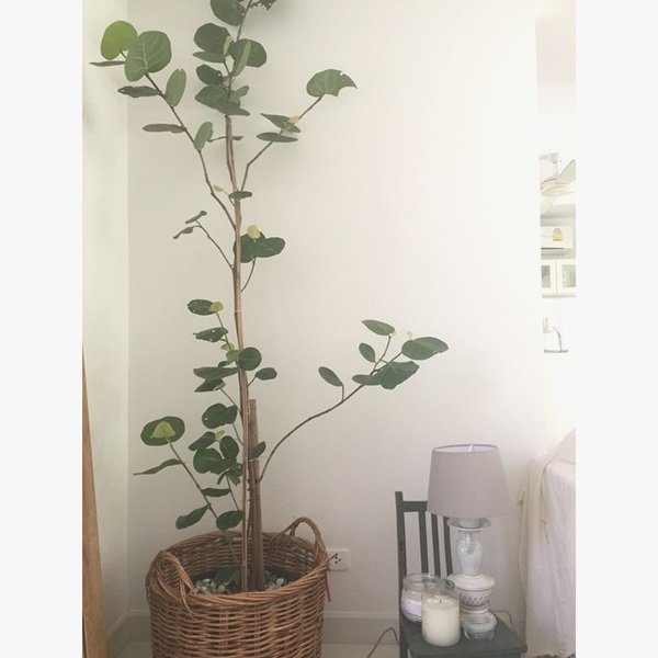 มุมเล็ก มุมน้อย “บ้านเต๋า สโรชา” สไตล์ Minimalist กับชีวิตแบบ Slow ๆ