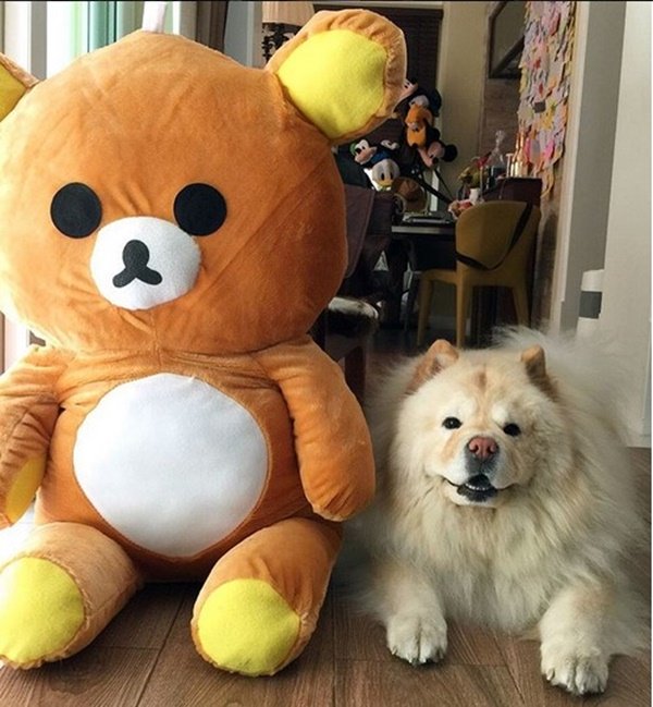 ส่อง “บ้านก๊อท จักรพันธ์” เจ้าพ่อลูกทุ่ง เห็นแล้วก็รู้ว่าหรูหรา อบอุ่น