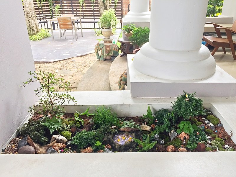 ปรับรางต้นไม้หน้าบ้าน เป็น giant tray garden