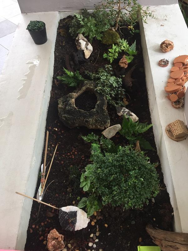 ปรับรางต้นไม้หน้าบ้าน เป็น giant tray garden