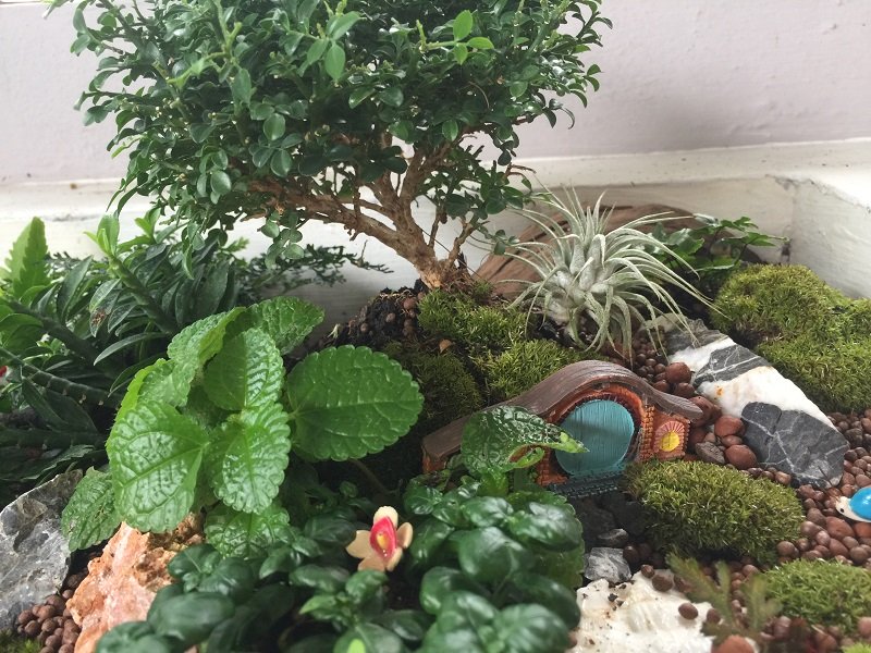 ปรับรางต้นไม้หน้าบ้าน เป็น giant tray garden