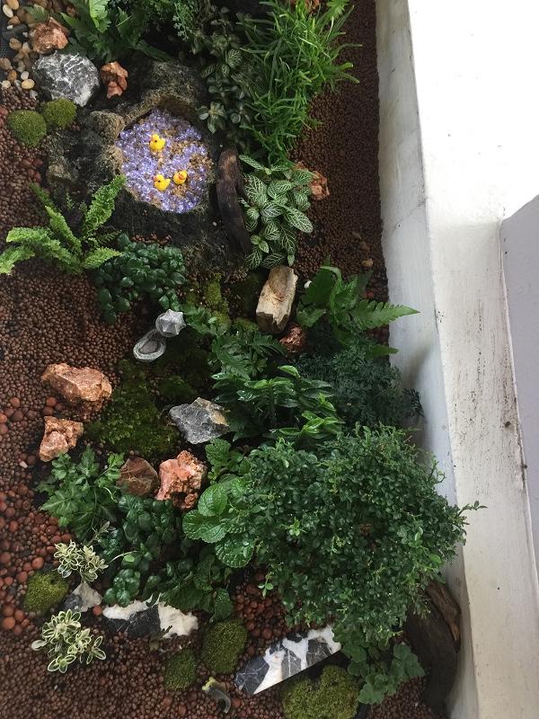 ปรับรางต้นไม้หน้าบ้าน เป็น giant tray garden