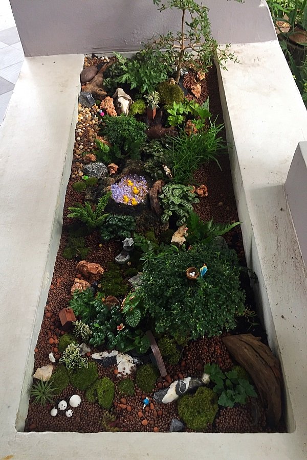 ปรับรางต้นไม้หน้าบ้าน เป็น giant tray garden