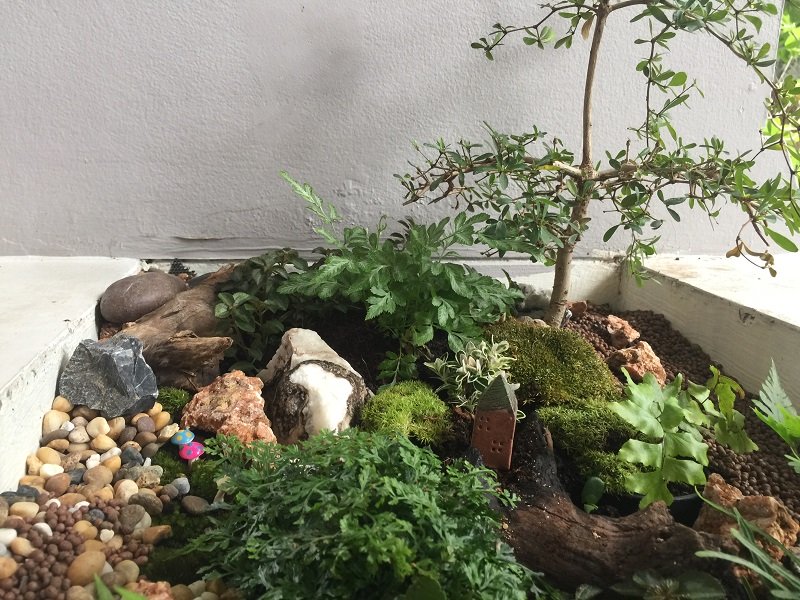 ปรับรางต้นไม้หน้าบ้าน เป็น giant tray garden