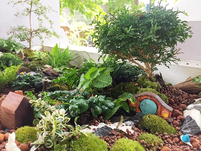 ปรับรางต้นไม้หน้าบ้าน เป็น giant tray garden