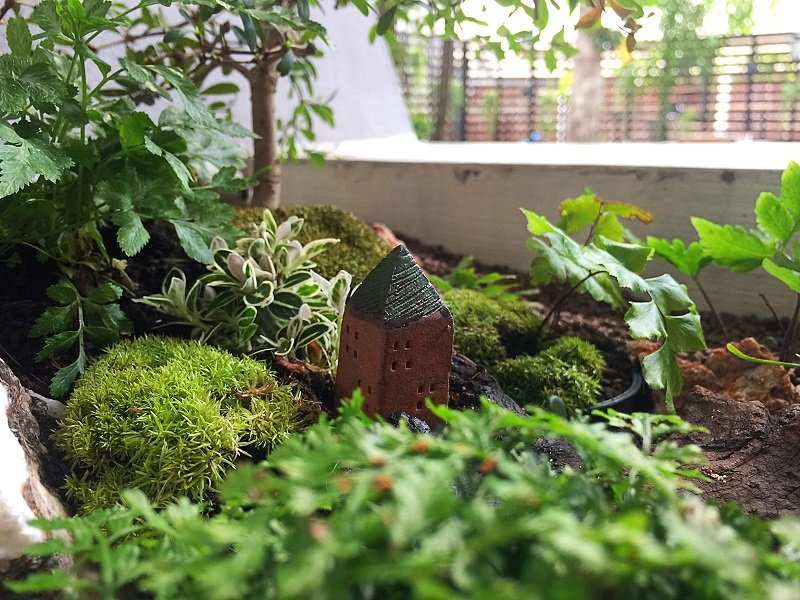 ปรับรางต้นไม้หน้าบ้าน เป็น giant tray garden