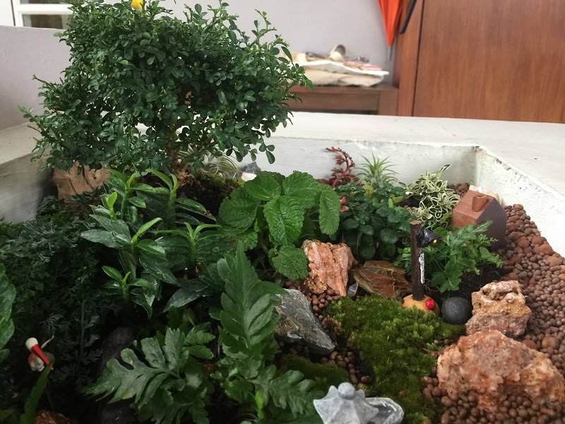 ปรับรางต้นไม้หน้าบ้าน เป็น giant tray garden