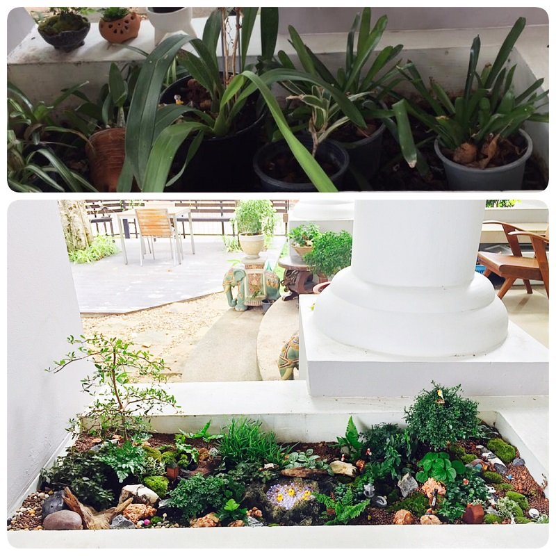 ปรับรางต้นไม้หน้าบ้าน เป็น giant tray garden