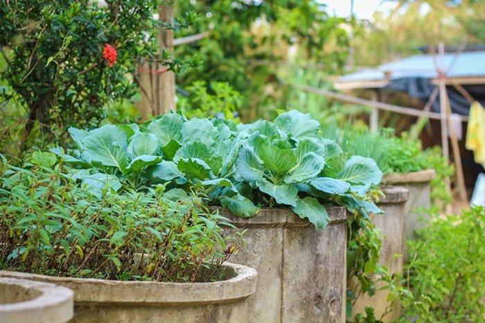 แบบบ้านไม้ยกพื้นสูง บ้านสุดใจ โฮมสเตย์บ้านนาต้นจั่น กลมกลืนบรรยากาศชนบท หมู่บ้านอัตลักษณ์ จสุโขทัย