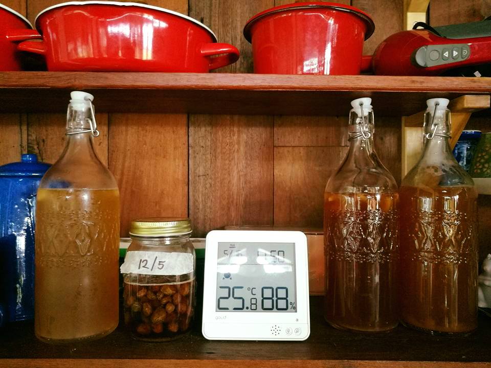 ดีต่อใจ "โรส วริศรา" มิสเอเชียปี 2531 สร้างบ้านที่เชียงดาวเป็นโรงเรียนสอนลูก