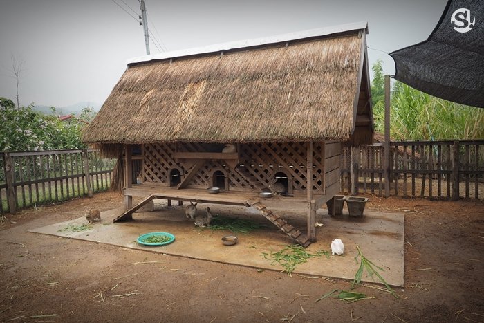 “ลาว บัฟฟาโล แดรี่” หลวงพระบาง ฟาร์มควายที่บ่มเพาะความรู้ให้เกษตรกร สู่ธุรกิจอันยั่งยืน