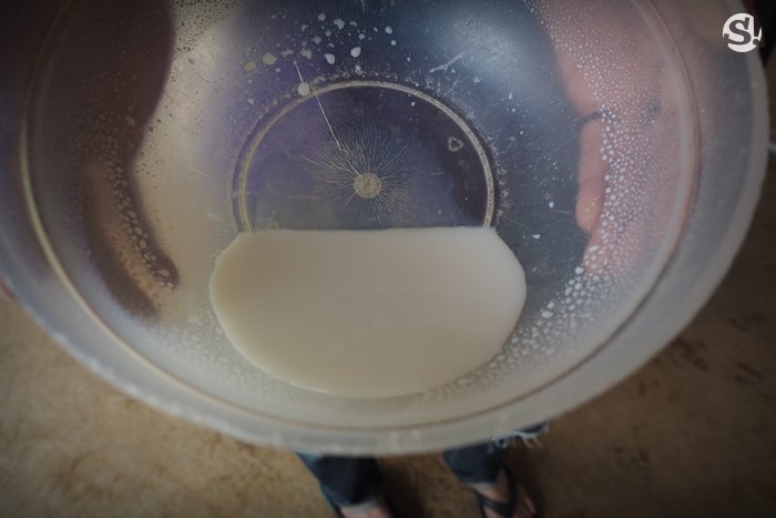 “ลาว บัฟฟาโล แดรี่” หลวงพระบาง ฟาร์มควายที่บ่มเพาะความรู้ให้เกษตรกร สู่ธุรกิจอันยั่งยืน