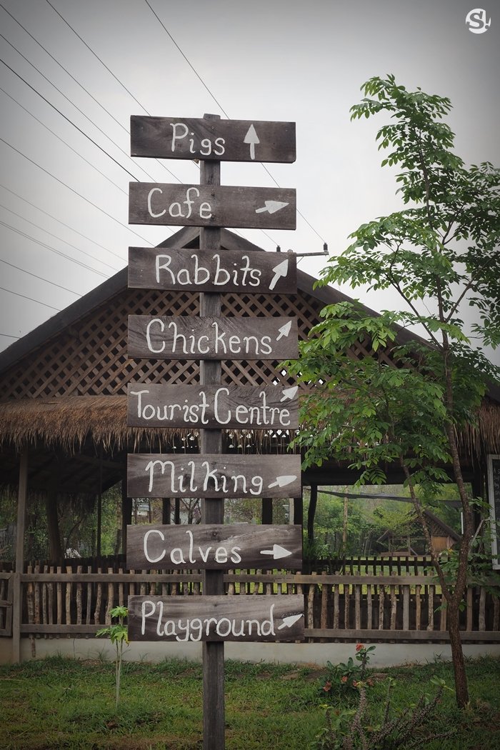 “ลาว บัฟฟาโล แดรี่” หลวงพระบาง ฟาร์มควายที่บ่มเพาะความรู้ให้เกษตรกร สู่ธุรกิจอันยั่งยืน