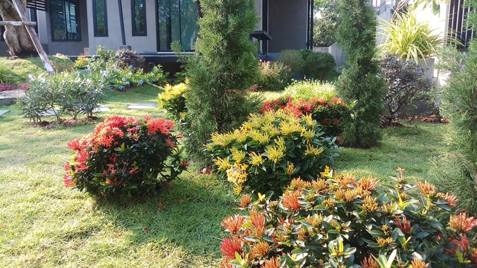 10 แบบบ้านชั้นเดียวสไตล์โมเดิร์นลอฟท์ ราคาเริ่มต้นหลักแสน ไปจนถึงหลักล้าน น่าอยู่ทุกหลัง