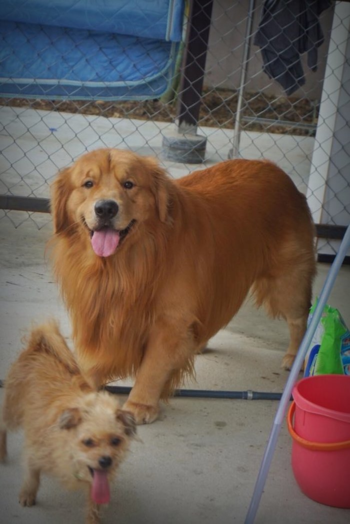 10 แบบบ้านชั้นเดียวสไตล์โมเดิร์นลอฟท์ ราคาเริ่มต้นหลักแสน ไปจนถึงหลักล้าน น่าอยู่ทุกหลัง