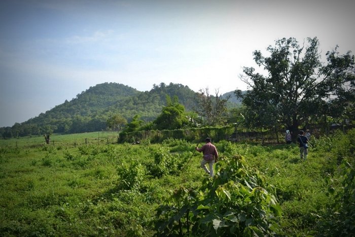 ประสบการณ์จากวิศวกร “ลาออกจากงานมาเปิดร้านเกษตรที่บ้านเกิด” ใช้ชีวิตแบบเรียบง่ายพอเพียง แต่เต็มไปด้วยความสุข