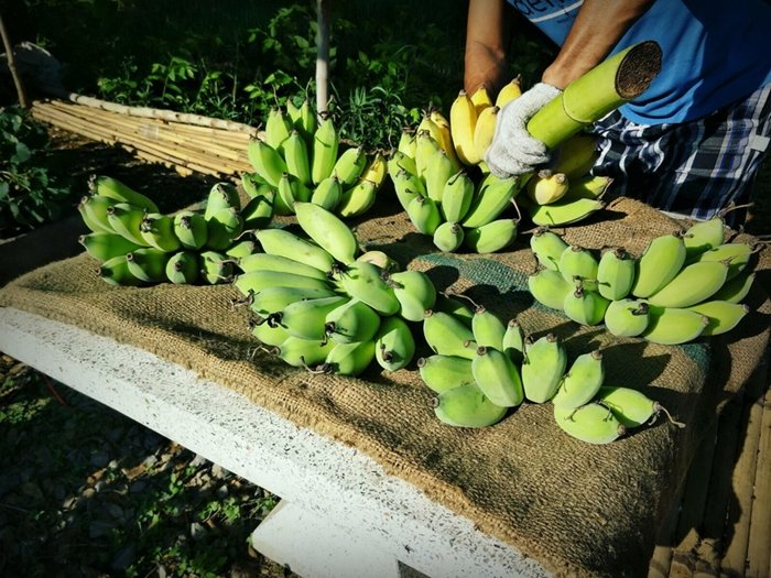 ประสบการณ์จากวิศวกร “ลาออกจากงานมาเปิดร้านเกษตรที่บ้านเกิด” ใช้ชีวิตแบบเรียบง่ายพอเพียง แต่เต็มไปด้วยความสุข