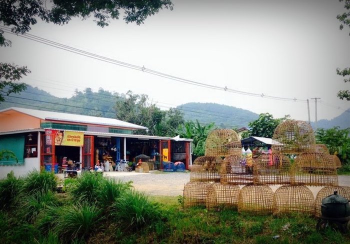 ประสบการณ์จากวิศวกร “ลาออกจากงานมาเปิดร้านเกษตรที่บ้านเกิด” ใช้ชีวิตแบบเรียบง่ายพอเพียง แต่เต็มไปด้วยความสุข