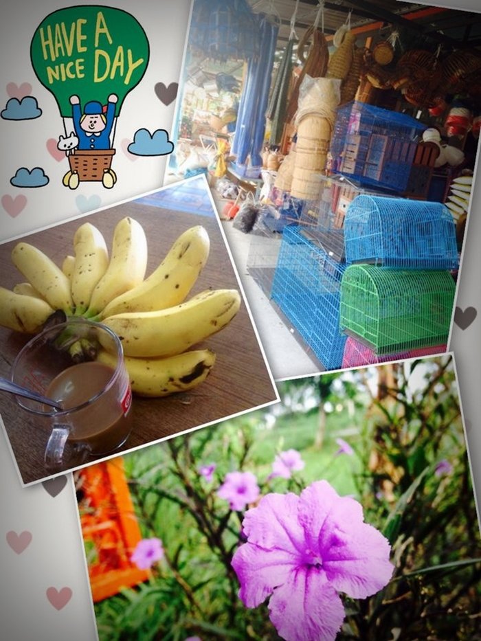 ประสบการณ์จากวิศวกร “ลาออกจากงานมาเปิดร้านเกษตรที่บ้านเกิด” ใช้ชีวิตแบบเรียบง่ายพอเพียง แต่เต็มไปด้วยความสุข