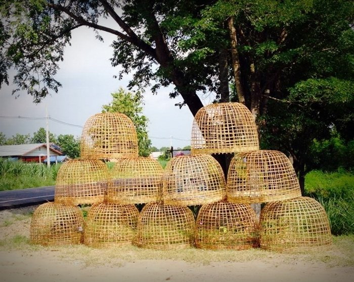 ประสบการณ์จากวิศวกร “ลาออกจากงานมาเปิดร้านเกษตรที่บ้านเกิด” ใช้ชีวิตแบบเรียบง่ายพอเพียง แต่เต็มไปด้วยความสุข