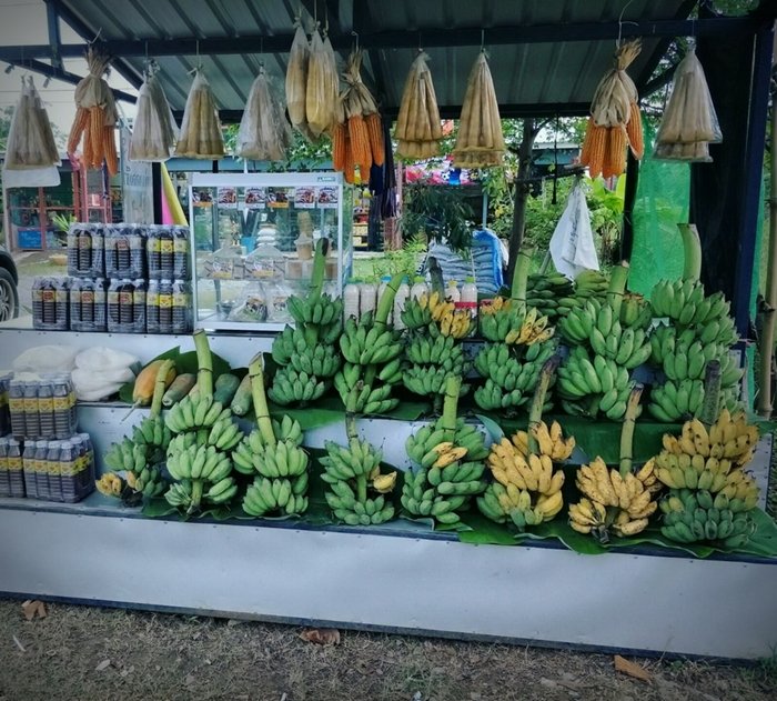 ประสบการณ์จากวิศวกร “ลาออกจากงานมาเปิดร้านเกษตรที่บ้านเกิด” ใช้ชีวิตแบบเรียบง่ายพอเพียง แต่เต็มไปด้วยความสุข