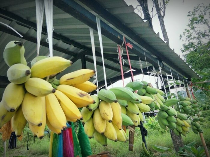 ประสบการณ์จากวิศวกร “ลาออกจากงานมาเปิดร้านเกษตรที่บ้านเกิด” ใช้ชีวิตแบบเรียบง่ายพอเพียง แต่เต็มไปด้วยความสุข