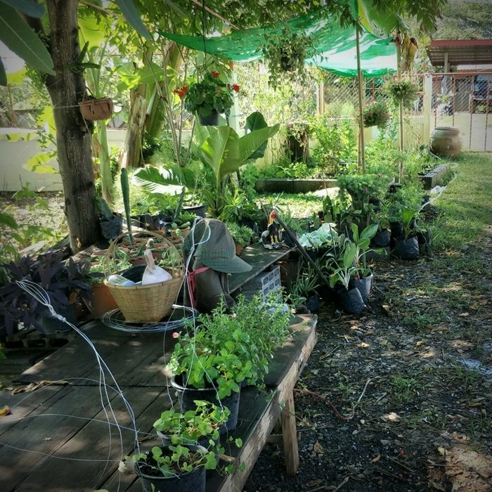 ประสบการณ์จากวิศวกร “ลาออกจากงานมาเปิดร้านเกษตรที่บ้านเกิด” ใช้ชีวิตแบบเรียบง่ายพอเพียง แต่เต็มไปด้วยความสุข