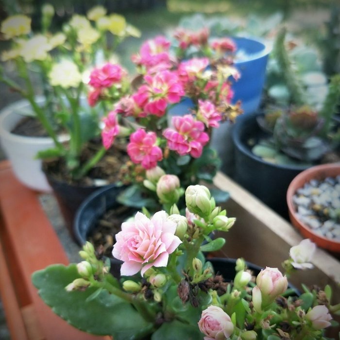 ประสบการณ์จากวิศวกร “ลาออกจากงานมาเปิดร้านเกษตรที่บ้านเกิด” ใช้ชีวิตแบบเรียบง่ายพอเพียง แต่เต็มไปด้วยความสุข