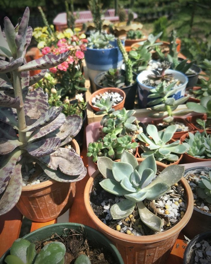 ประสบการณ์จากวิศวกร “ลาออกจากงานมาเปิดร้านเกษตรที่บ้านเกิด” ใช้ชีวิตแบบเรียบง่ายพอเพียง แต่เต็มไปด้วยความสุข