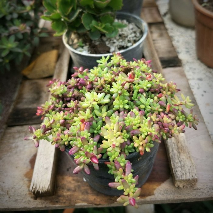 ประสบการณ์จากวิศวกร “ลาออกจากงานมาเปิดร้านเกษตรที่บ้านเกิด” ใช้ชีวิตแบบเรียบง่ายพอเพียง แต่เต็มไปด้วยความสุข