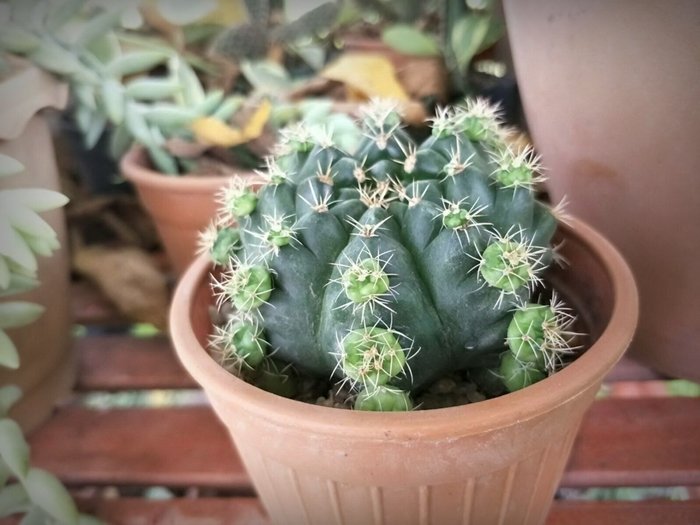 ประสบการณ์จากวิศวกร “ลาออกจากงานมาเปิดร้านเกษตรที่บ้านเกิด” ใช้ชีวิตแบบเรียบง่ายพอเพียง แต่เต็มไปด้วยความสุข