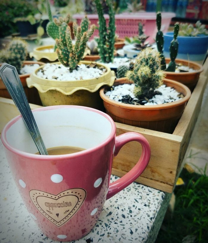 ประสบการณ์จากวิศวกร “ลาออกจากงานมาเปิดร้านเกษตรที่บ้านเกิด” ใช้ชีวิตแบบเรียบง่ายพอเพียง แต่เต็มไปด้วยความสุข