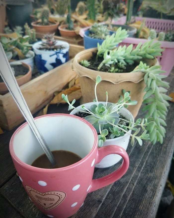 ประสบการณ์จากวิศวกร “ลาออกจากงานมาเปิดร้านเกษตรที่บ้านเกิด” ใช้ชีวิตแบบเรียบง่ายพอเพียง แต่เต็มไปด้วยความสุข