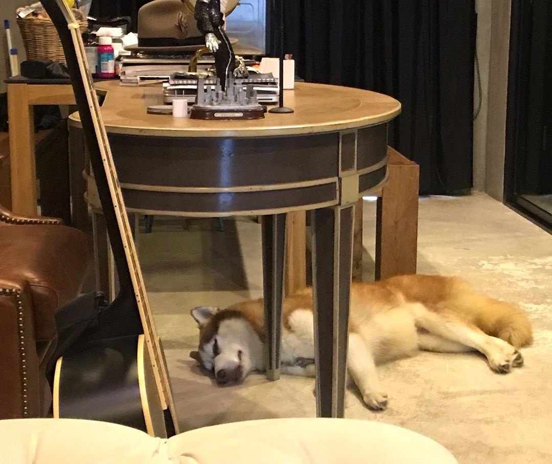 “วิทย์ AF1” ซื้อบ้านแล้วทุบ รื้อ ตกแต่งเป็นสไตล์ตัวเอง แพลนตอนแก่ไปอยู่นครนายก